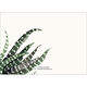Fall Feather Folded Place Cards Image 2 of 4